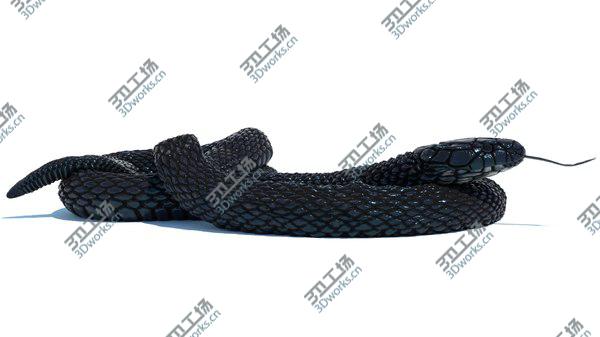 images/goods_img/20210312/3D model Egyptian Cobra Rigged Animated/4.jpg
